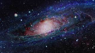 Koda - The Last Stand