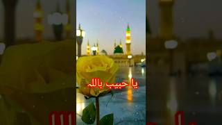 Download lagu ya Rasool Allah ya Habib Allah 🕋🤲👳💚//video pendek islami #islamicstatus //status whatsapp #naat mp3