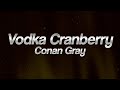 Conan Gray Vodka Cranberry Lyrics