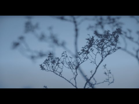 Video thumbnail for 21st Century Hippie