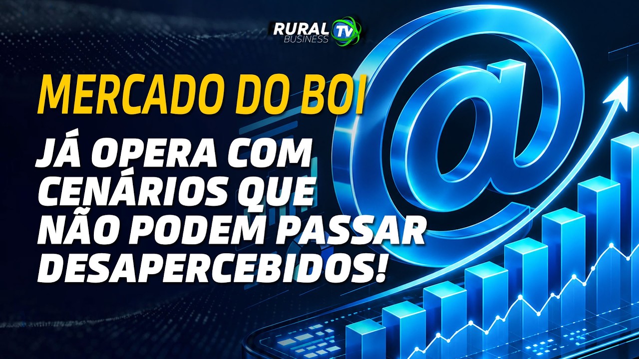 MERCADO DO BOI JÁ OPERA COM CENÁRIOS QUE NÃO PODEM PASSAR DESAPERCEBIDOS!