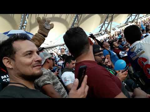 "Barra de deportes antofagasta vs fluminense copa sudamericana 2019" Barra: Los Pumas &bull; Club: Deportes Antofagasta