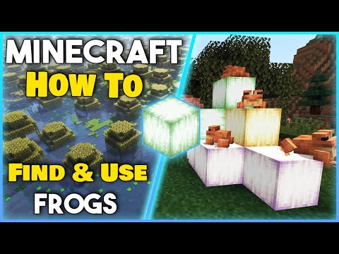 How to FIND and USE FROGS & FROGLIGHTS - Minecraft 1.19+ (Easy Tutorial)