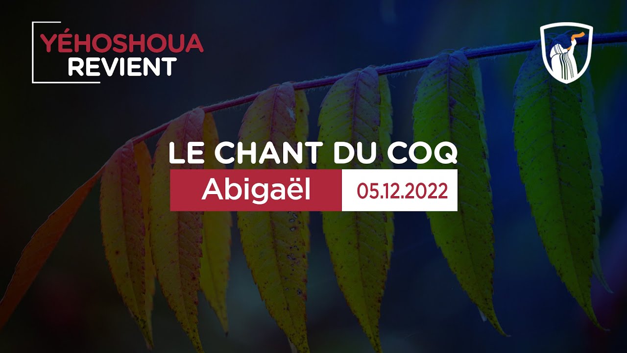 Thumbnail of video: Abigaël