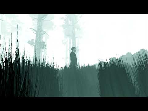 White Noiz - Silent Hill 2 with rain slowed down