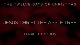 Jesus Christ the Apple Tree (Poston)