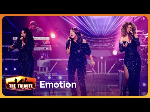 Emotion // Child Of Destiny // DESTINY'S CHILD COVER // The Tribute
