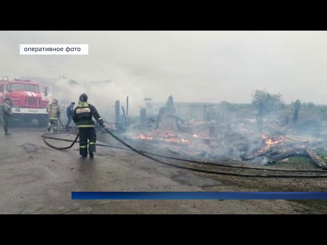 Пятеро детей погибли в пожарах