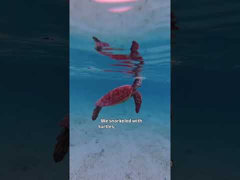 Thumbnail for 9 Day Cruise Itinerary to the South Pacific