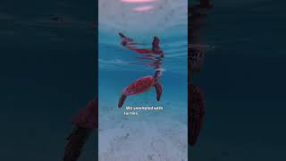 9 Day Cruise Itinerary to the South Pacific