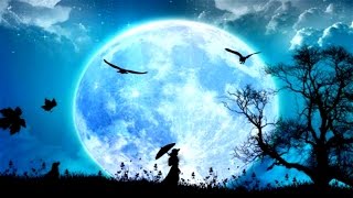 MEDITAÇÃO DO PERDÃO E AUTOPERDÃO - LIBERANDO O PASSADO PARA SER FELIZ!