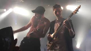 Novelists  -  Antares