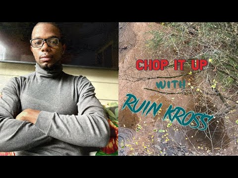 Battle Brothers For The Nintendo Switch Game Review