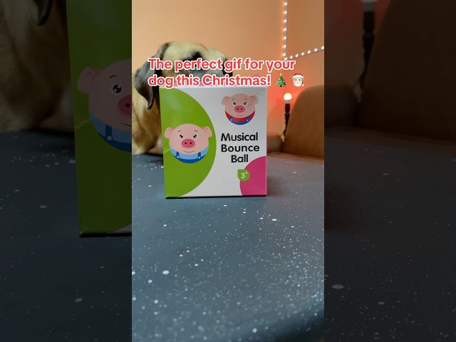 Vídeo relacionado con Pearhead Pet M.C. Hammy - Juguete para Perros de Navidad, Regalo para Mascotas, Juguete imprescindible para Las Fiestas