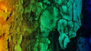 Arston - Rage (Extended Mix)