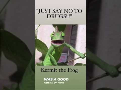“JUST SAY NO TO DRUGS”   Kermit the Frog
