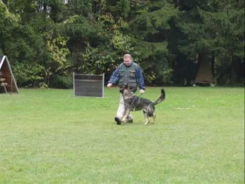 Herbstpruefung-01-11-2012