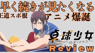 【中国アニメの正統派スポーツ作品】卓球少女レビュー【ネタバレなし】