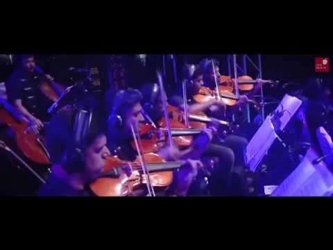 MEGA MUSICAL JOURNEY - 13-01-2017