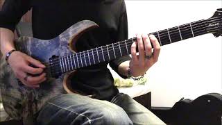 Dark Tranquillity - The Poison Well - [guitar cover]