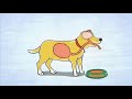 Martha Was An A̶v̶e̶r̶a̶g̶e̶ Dog