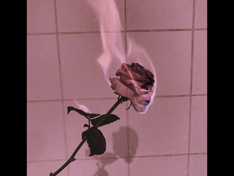 *free* Cuco x Clairo  type beat "love is dumb" (prod. omgsora)