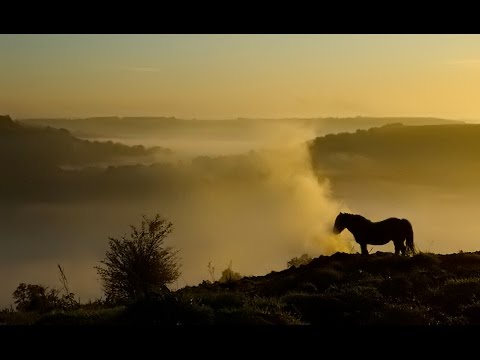 Solsbury Hill by Peter Gabriel in 1080p HD