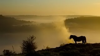 Solsbury Hill by Peter Gabriel in 1080p HD