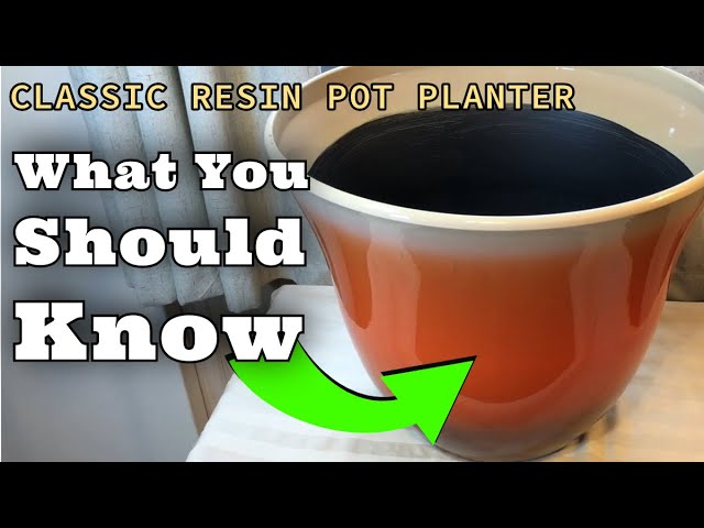 Vídeo relacionado con Classic Home & Garden Maceta clásica para el hogar y el jardín, Resina, Luces del Norte, Vogue de 8 Pulgadas