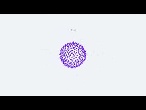 Introducing N71.ai