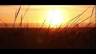 Download lagu Video Alam 30 Detik | Video Status WhatsApp | Video Latar Belakang Alam mp3