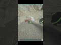 Defending Hunter Cave On Inx
