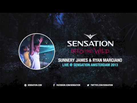 Sunnery James & Ryan Marciano - Live @ Sensation Amsterdam 2013