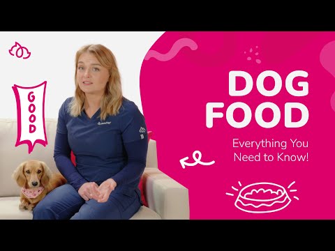 A Veterinarian's Guide to Dog Nutrition – What Should Your Dog Really Eat?