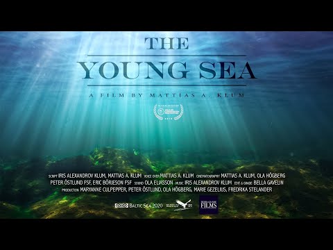 The Young Sea