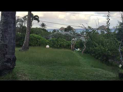 User submitted video