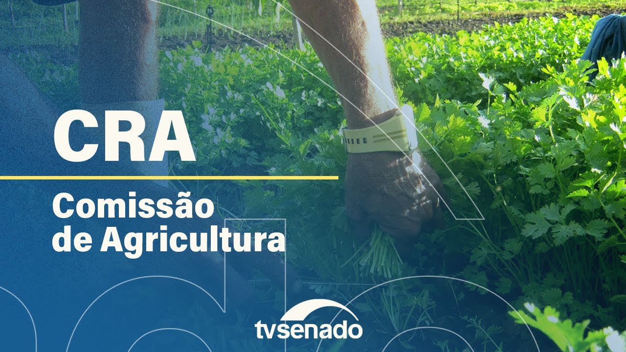 Ao vivo: CRA debate sistema de comércio de emissões de gases – 25/11/25 — Senado Notícias