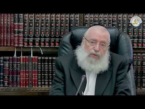 Melachos of Shabbos Similar to Those in the Mishkan | Weekly Shiur by Rav Asher Weiss Shlit"a | 5783