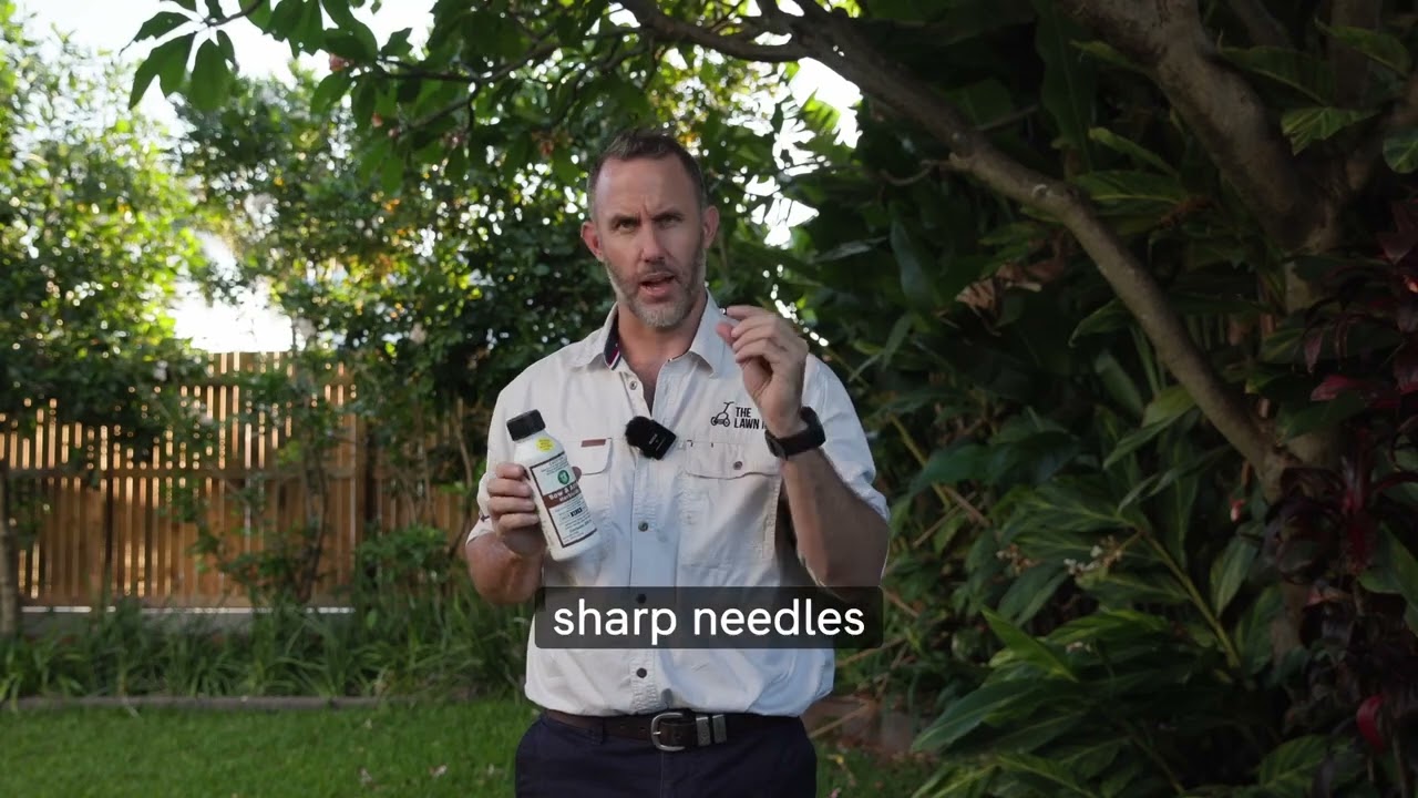 Bow & Arrow Weed Killer