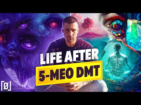 How I Integrated My Bufo Alavarius Experience (5-MeO-DMT)