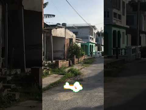 Ultimo día del año 2025 #shorts calle Joaquin Aguero  #lastunas #cuba