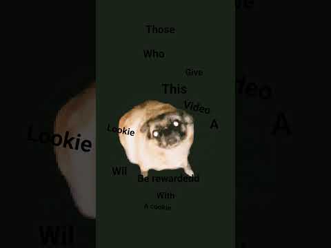 Its my cookie!