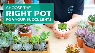 SUCCULENT BEGINNER TIPS: WHY POT SIZE AND POT MATERIAL ARE IMPORTANT IN GROWING SUCCULENTS