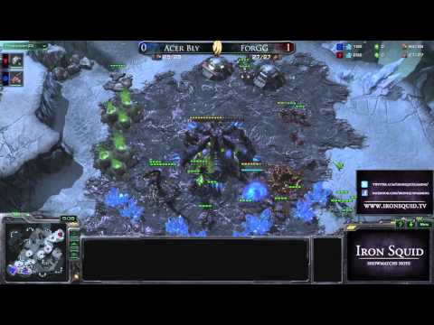 [EN#KOTH 8] ForGG vs AcerBly - G2 - Heart of the Swarm (IronSquid)