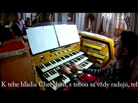 JKS 299 - Zdrav´ buď Kriste (ein eucharistisches Lied - Chrisammesse 2017)