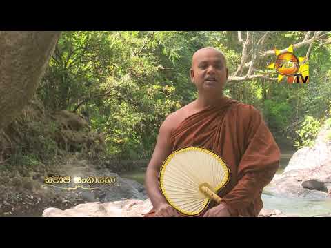Hiru TV