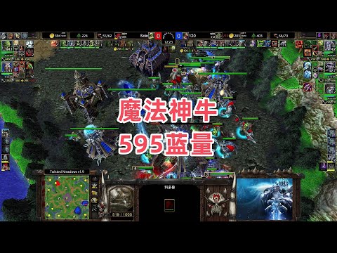 魔法神牛 595蓝量 魔兽争霸3 120 vs Soin TM