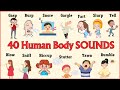 Lesson 26 40 Human BODY SOUNDS Vocabulary In 6 Minutes In English Vocabulary