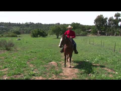 YTS Digital Films - Jedlicka's 30-second Commercial Spot