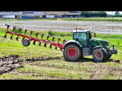 **TOP** Fendt 826 Vario | Ovlac Mini 9+2 | AZ. GREPPI CAPPA